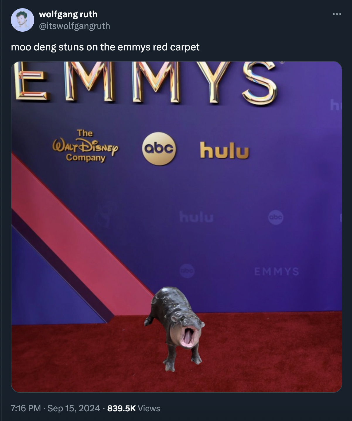 moo deng memes - pug - wolfgang ruth moo deng stuns on the emmys red carpet Emmys The Walt Disney Company h abc hulu Views hulu O Emmys